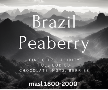 Brazil - Peaberry - Medium Roast