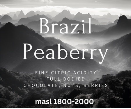 Brazil - Peaberry - Medium Roast