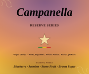 Campanella • Light Roast