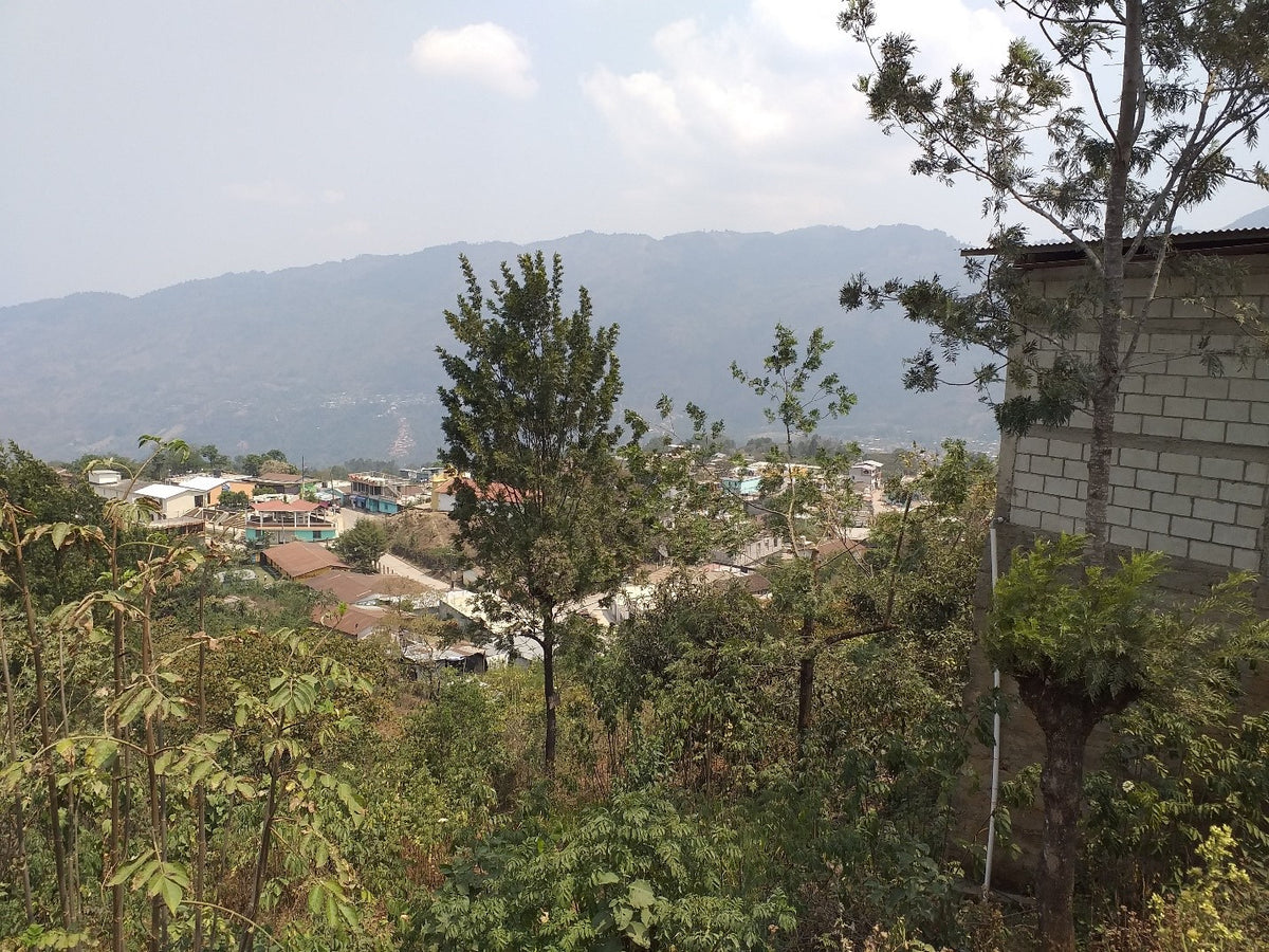 Guatemala   • DARK ROAST