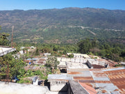Guatemala • Huehuetenango • FairTrade® & Organic
