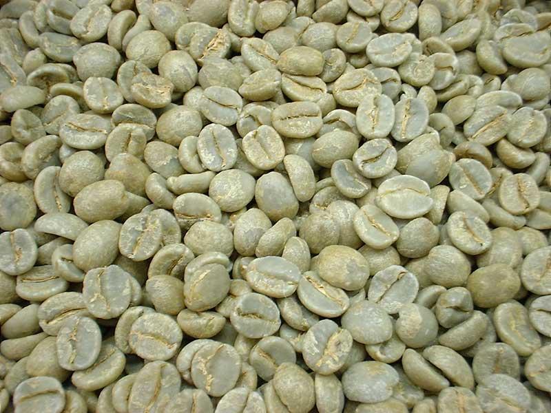 Brazil • Cachoeira da Grama • Medium Roast