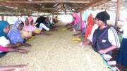 Ethiopia Sidamo - Fair Trade Organic
