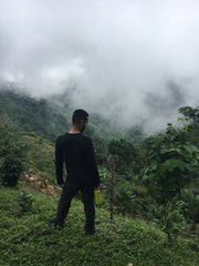 Wholesale RECREO •  Multi Roast • Colombia